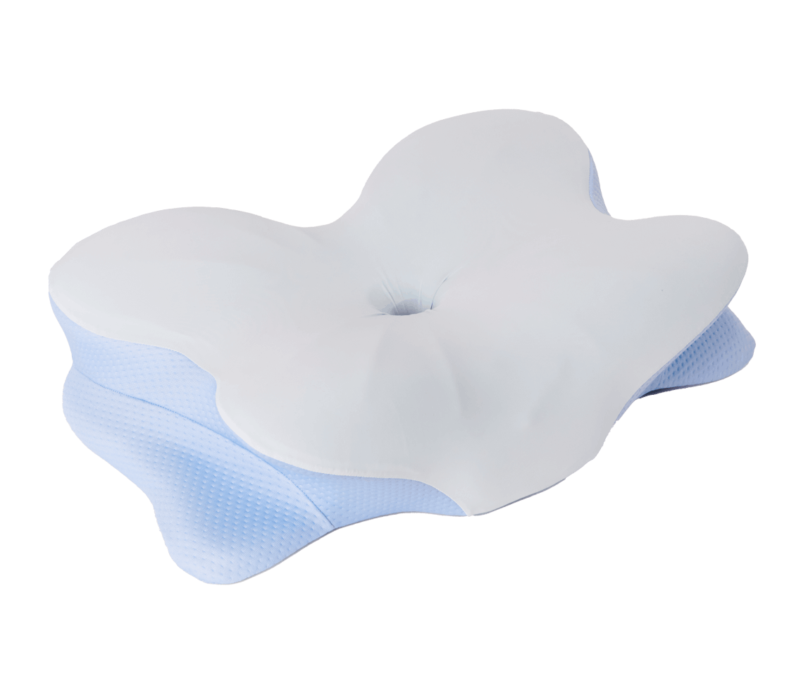 Derila ERGO Memory Foam Pillow